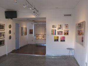 view of the show1